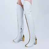 Wuthering Waves Jinhsi Cosplay  haussures