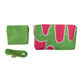 ABBA Femme  Agnetha Faltskong 1970s Tenue Rose-vert Costume Vintage