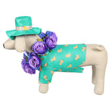 Animal Requin Jeff Costume Vert+Chapeau+Couronne de Cou Pour Chien