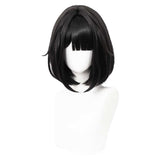 Cosplay Perruque Femme Endministrator Arknights: Endfield(2026) Jeu Perruque Noire