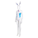 Invisible Woman Bunny Girl Cosplay Costume