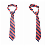 Zootopia 2(2025) Flash Cravate Cosplay Accessoire