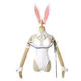 Dungeon ni Deai wo Motomeru no wa Machigatteiru Darou ka Hestia Tenue Lapin Bunny Girl Cosplay Costume