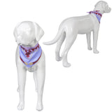 Film Wish Asha Valentino Foulard pour Animal Chien Costume