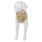 Film Wish Asha Valentino Foulard pour Animal Chien Costume